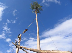 maggio_di_accettura