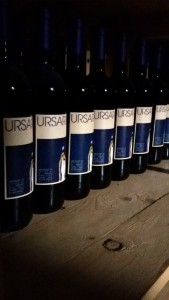 URSARIA 01