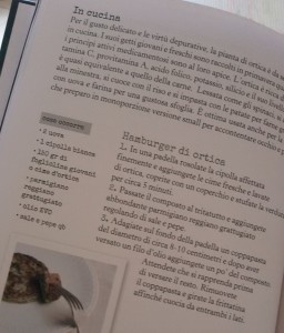 HAMBURGER DI ORTICA BUON GARDENING