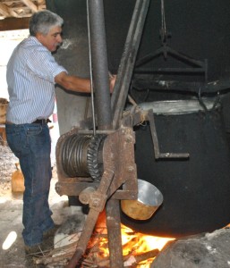 fattoria italia