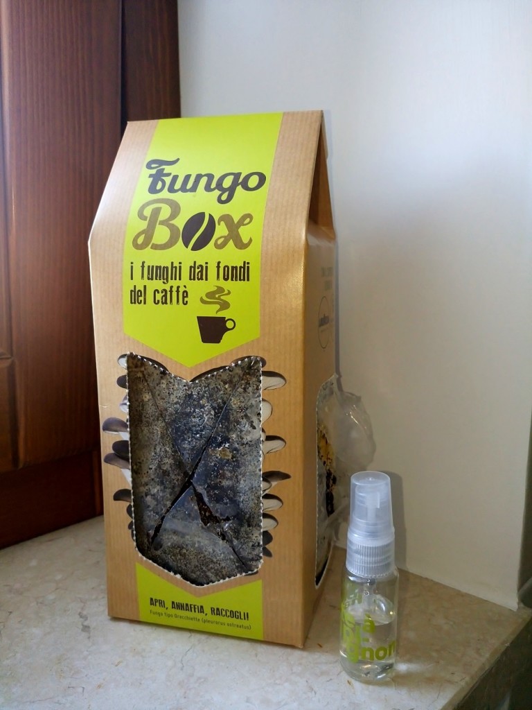 fungobox-2