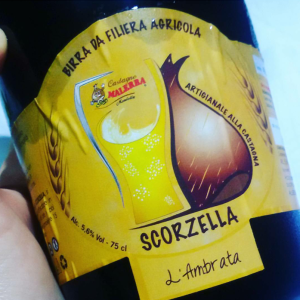 SCORZELLA IRIS