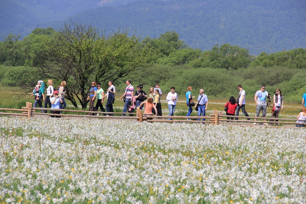 VALLE DEI NARCISI (11)