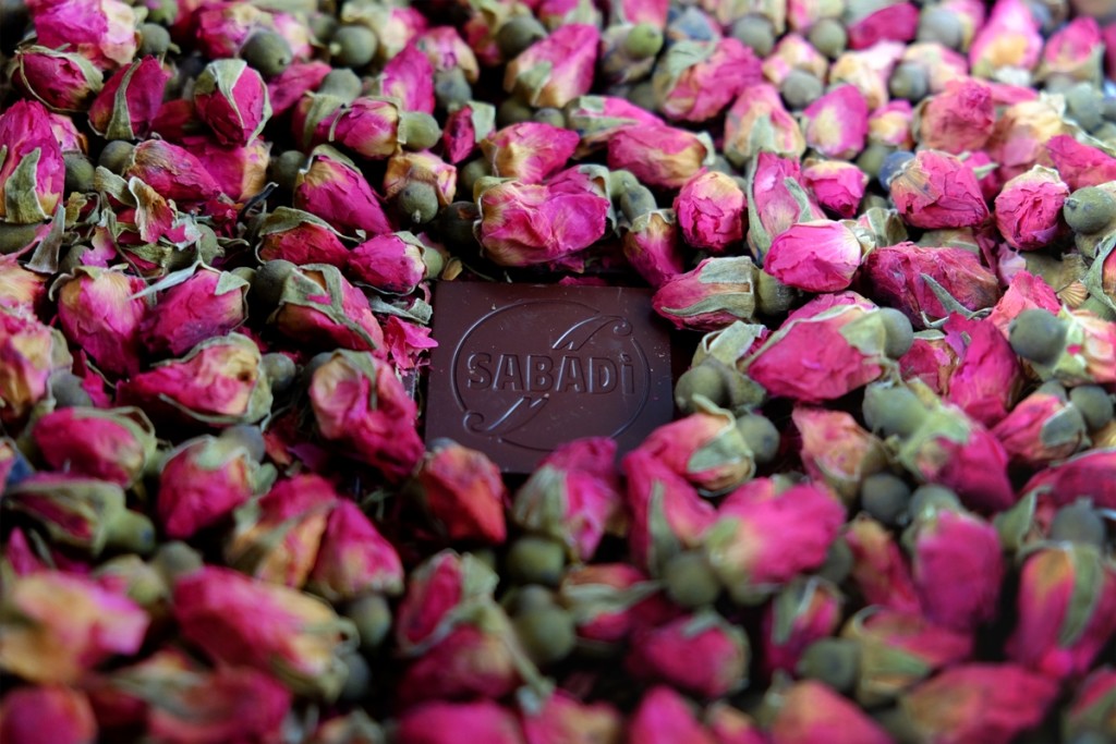 rosa_high