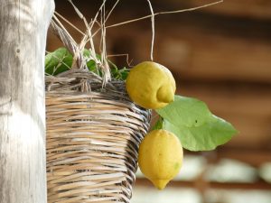 Distretto Agroalimentare di Qualità del Limone Costa d Amalfi IGP